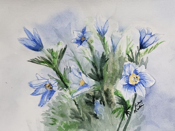 Blue Corn Flowers, 2022 [5x7 Watercolor]    # 22-212  SOLD