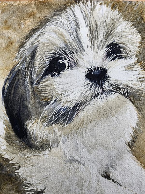 Baby Izzy, 2023 [8x11 Watercolor]    # 23-227