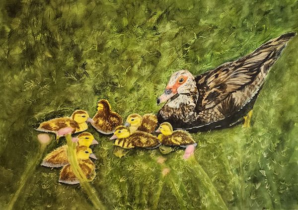Baby Duck Duck da Duck, 2023 [30x22 Watercolor]    # 23-229
