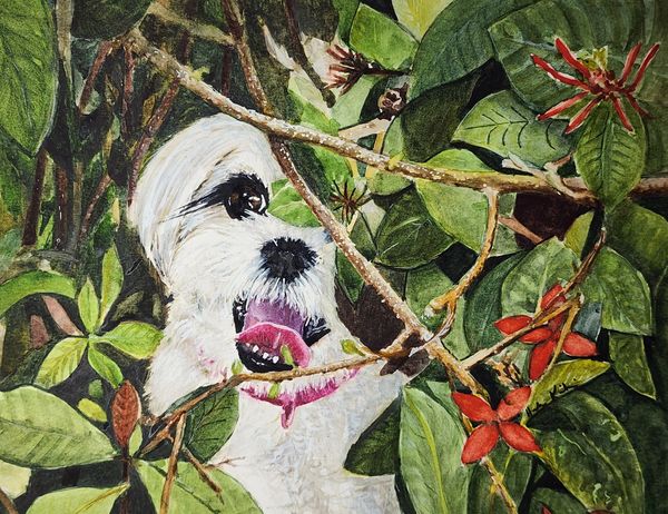 Peek-A-Boo Puppy, 2024 [10x8 Watercolor]    # 24-252