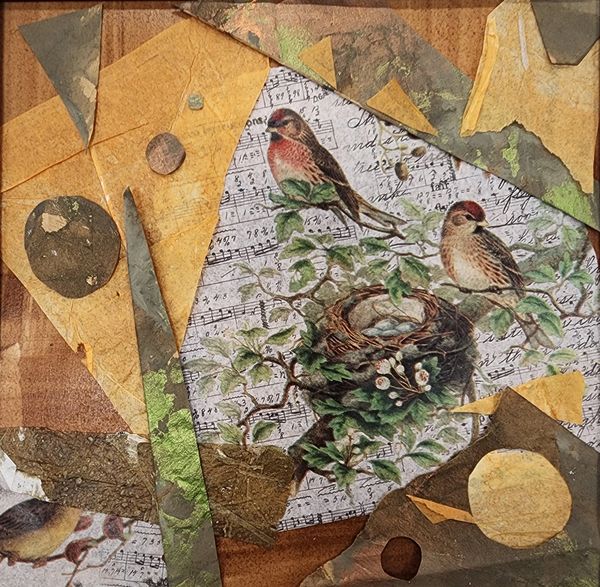 Birds Nest Collage, 2024 [10x10 before frame, Collage]    # 24-259