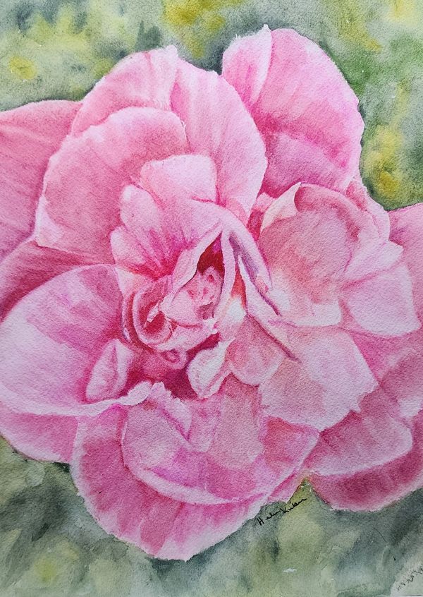 Pink Rose Garden, 2024 [8x10 Watercolor]    # 24-265