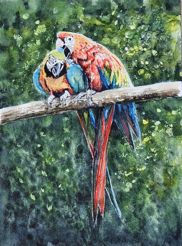 Parrot Pair, 2024 [8x10 Watercolor]    # 24-269