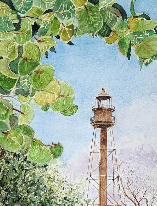 Sanibel Framed, 2025 Watercolor [8x10 ]   # 25-302
