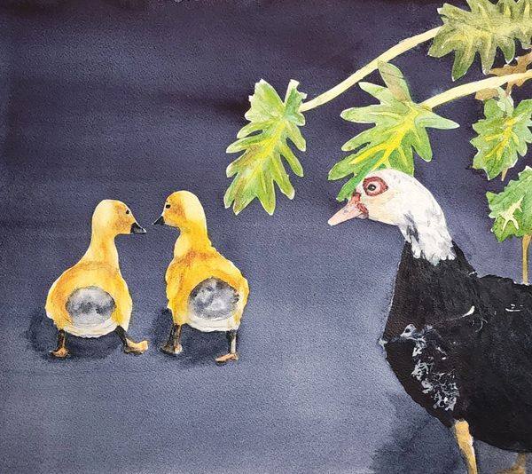 Little Quackers, 2025 Watercolor [11x15 ]   # 25-313 