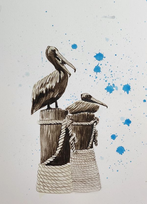 Pelicans in Sepia, 2025 Watercolor [10x14 ]   # 25-315 