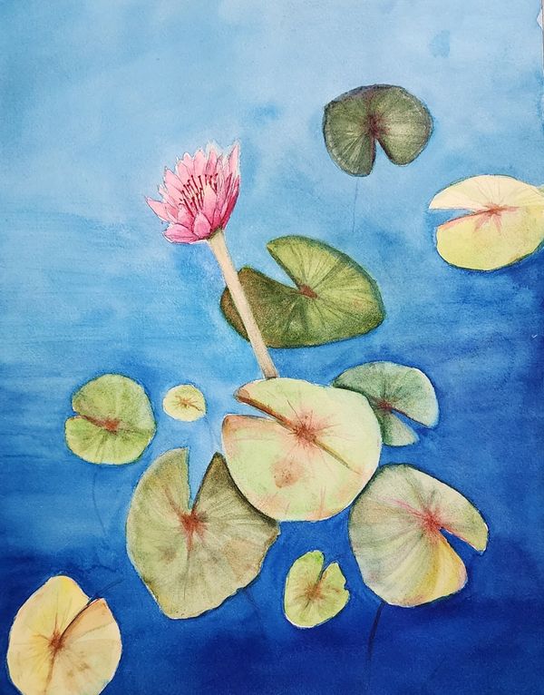 Pond Lilies with Pink, 2025 Watercolor [10x13 ]   # 25-318 