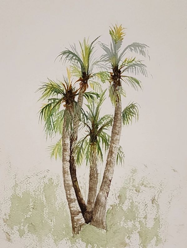 Palm Tree Island, 2025 Watercolor [8x10 ]   # 25-326 SOLD 