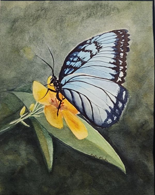 Blue Butterfly on Yellow, 2025 Watercolor [8x10 ]   # 25-348 