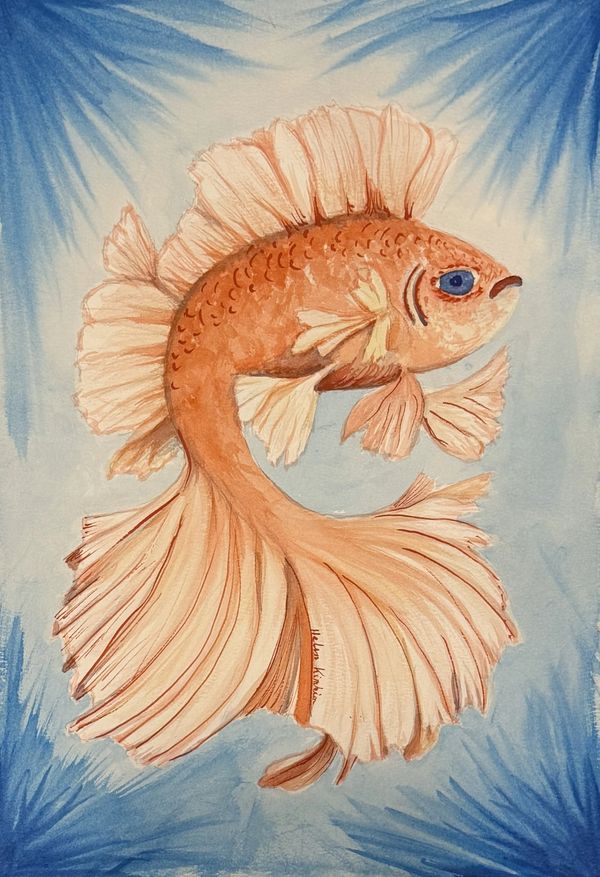 Fancy Fish Spotlight, 2025 Watercolor [9x13 ]   # 25-360 