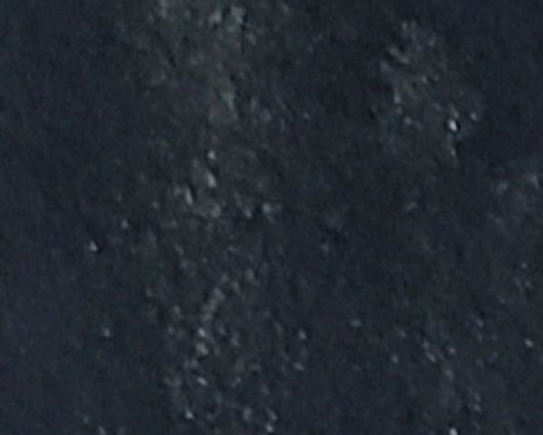 Rooster PM, 2022 [8x10 Water Media]    # 22-202