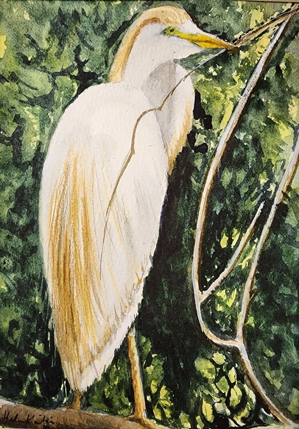White Bird on Branch, 2022 [7x9 Watercolor]    # 22-214