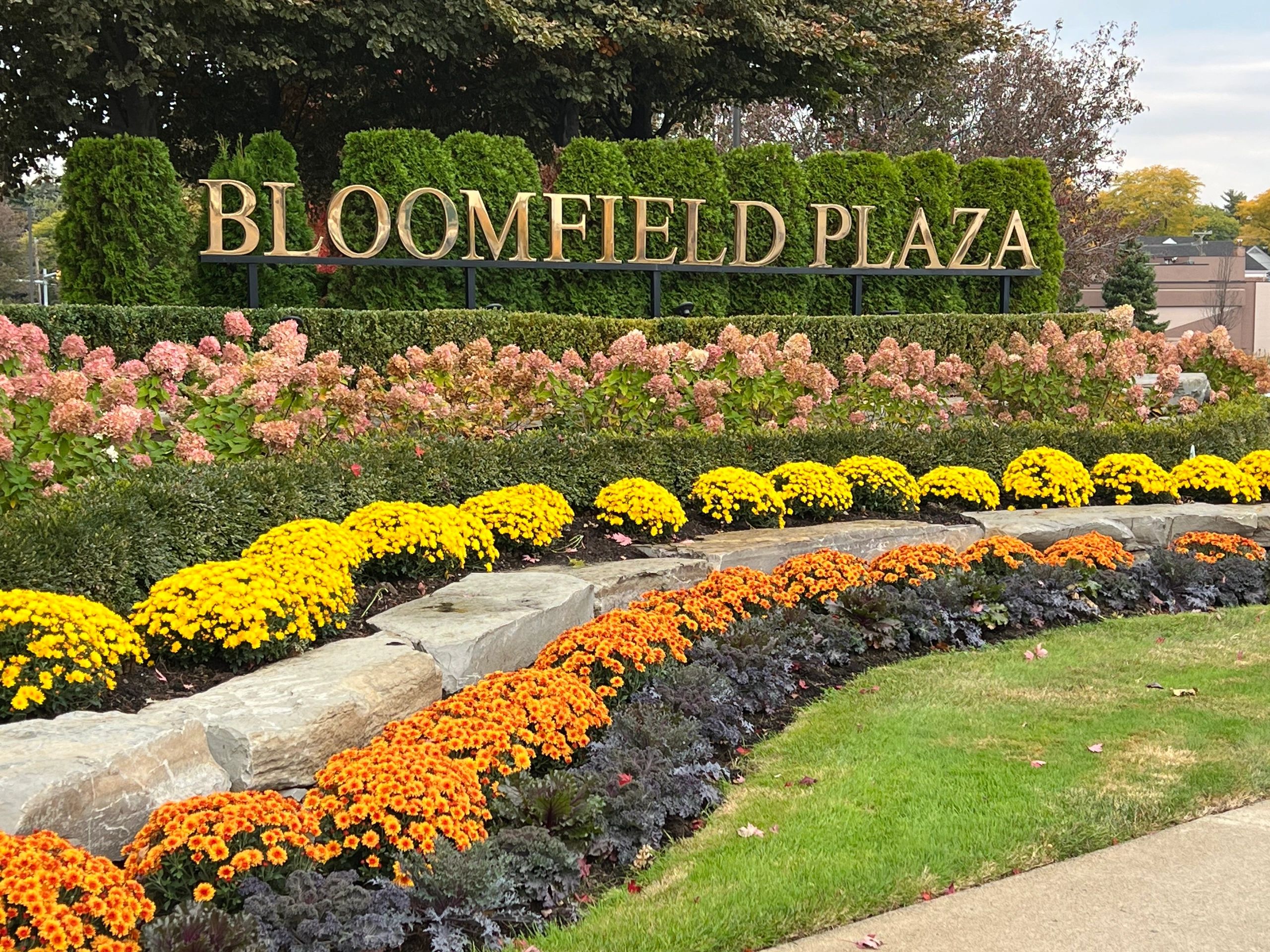 Work Authorizations Work authorizations