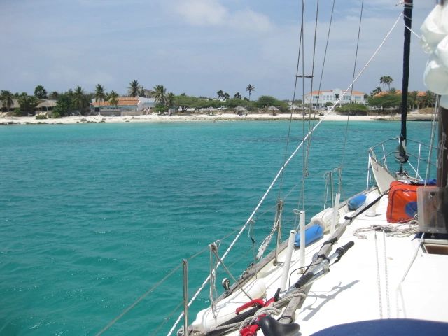 784.JPG