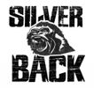 silverback music 