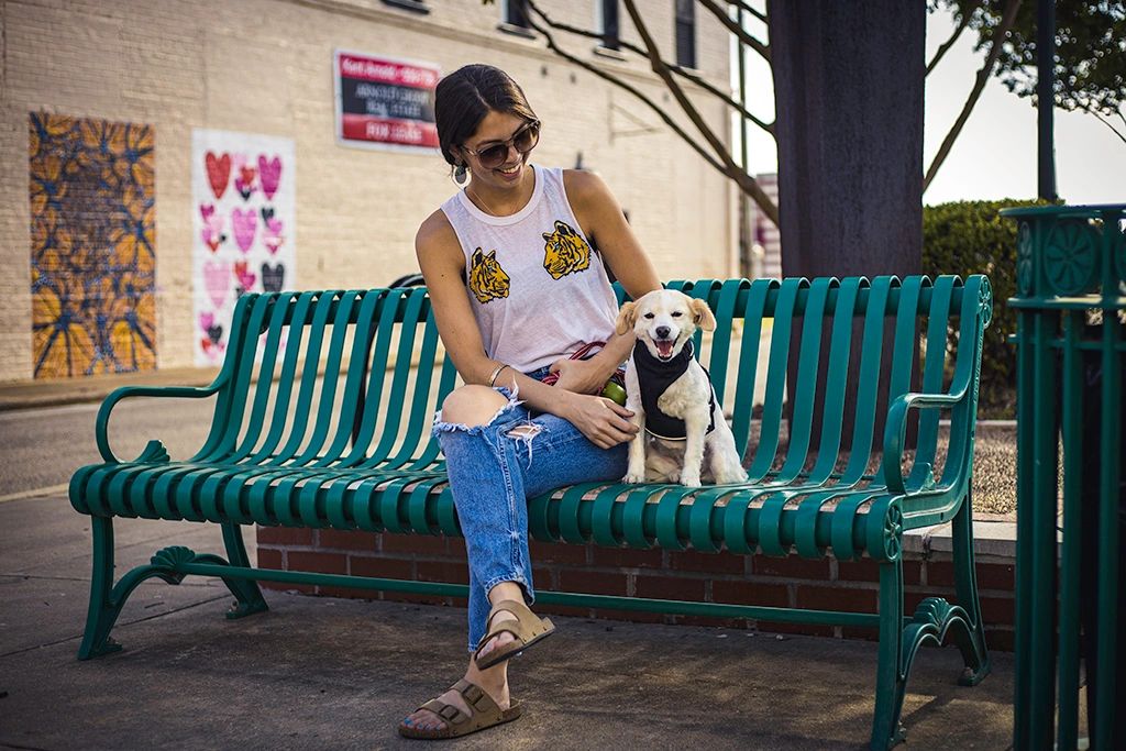 Dog Downtown Jonesboro