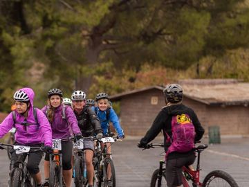 Group of cyclists riding on a road surrounded by trees.