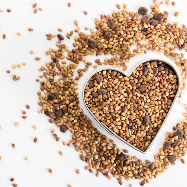 Seeds in a heart shape against a white background