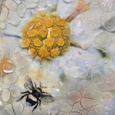 Bees, flowers, pollinators 