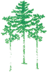 Daniel W. Edwards Consulting Forester P.A.