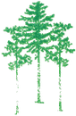 Daniel W. Edwards Consulting Forester P.A.