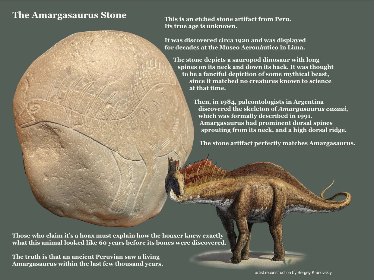 Etched stone from Peru shows sauropod dinosaur matching Amargasaurus discovered in 1984.
