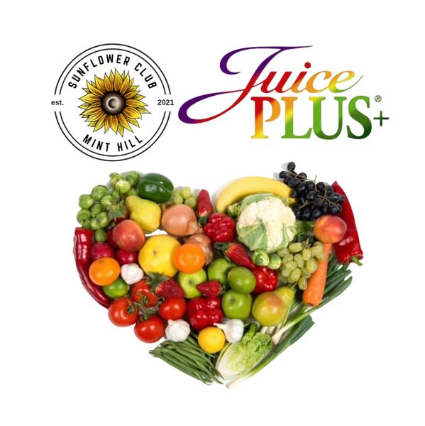 Sunflower Club Cafe Charlotte, North Carolina