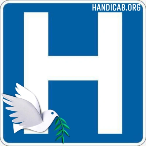 Co Ambulette Co. handles a variety of N.E.M.T medical visits using Specialized vehicles equipped for