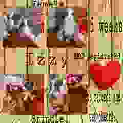 image386