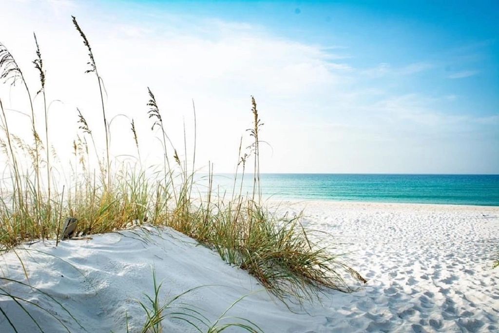 Beach Scene