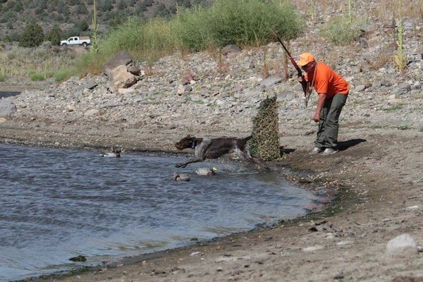 Utility test in California