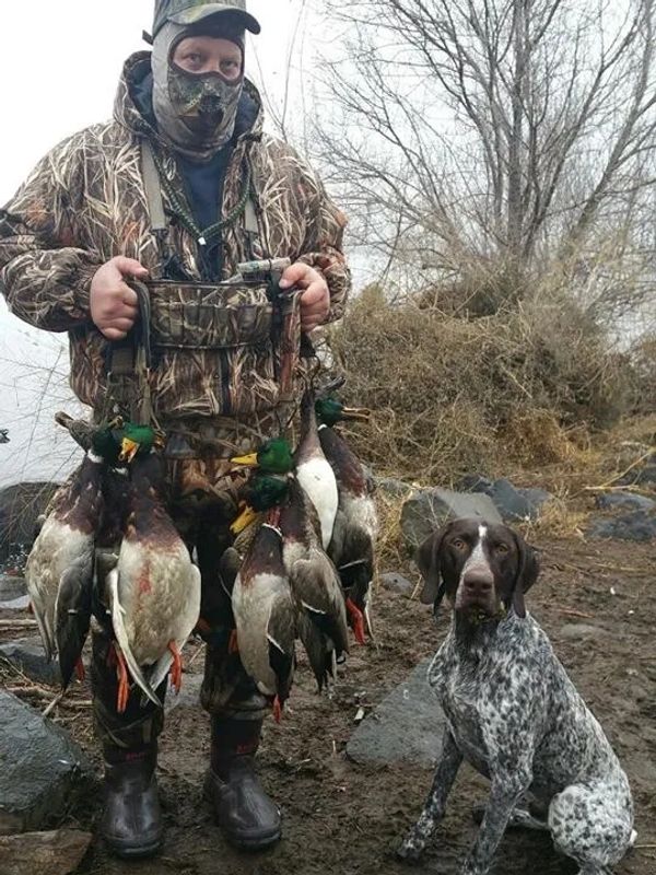 11 month old Gunther in the duck blind.