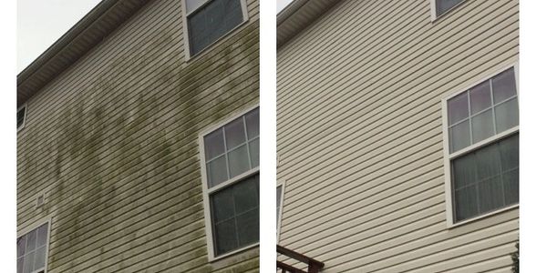 Before and after moldy siding