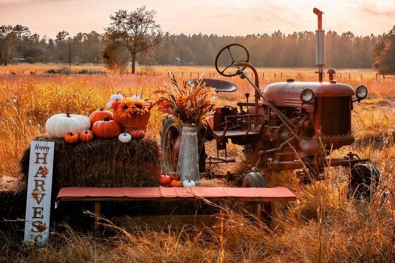 Festival Information