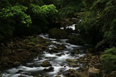 A serene river flows through a rocky, lush green forest.