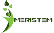 Meristem Events