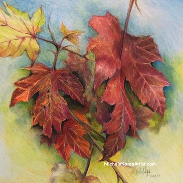 Fall Leaves Color Print on Epson Velvet 
12 x 12 $75.00 or 10 x 10 $65.00