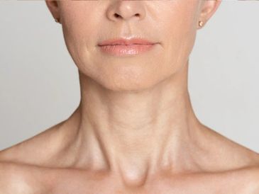 décolletage  and lower face of a woman 
