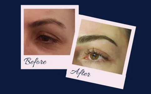 Wild Iris Brow Studio eyebrows Perth feather touch eyebrow tattoo microblading