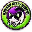 Kneady Kitty Rescue