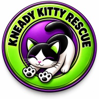 Kneady Kitty Rescue