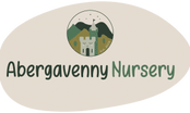 Abergavenny Nursery