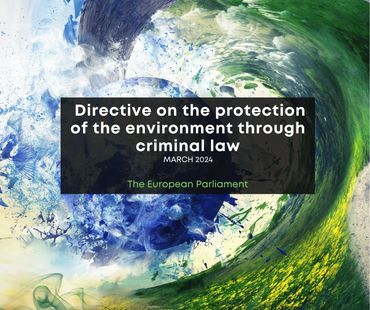 Directive on the protection of the environment through criminal law 