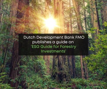 Dutch Development Bank FMO publishes a guide on ‘ESG Guide for Forestry Investments’