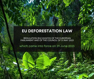 EU DEFORESTATION LAW