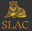 SLAC STRATEGIES