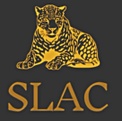 SLAC STRATEGIES