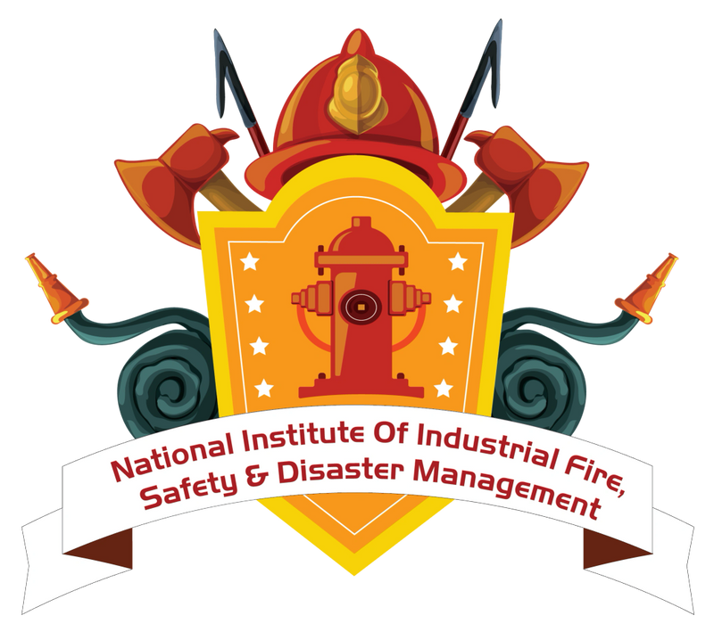 niifsdm.org's Logo