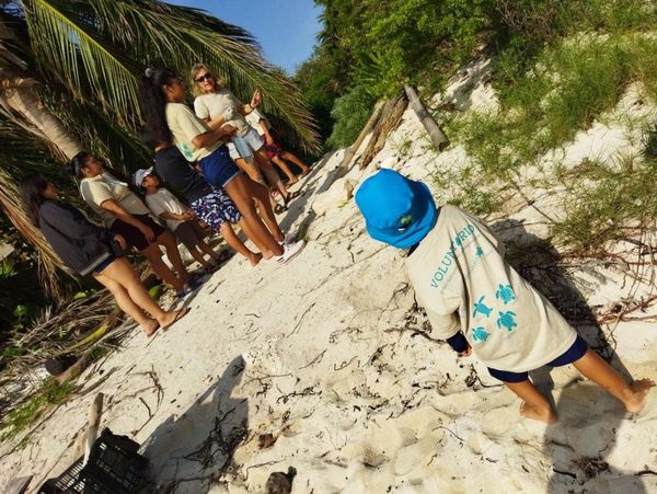 Niños y adultos voluntarios en la playa con arena blanca y palmeras.