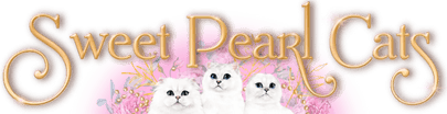 SweetPearlCats